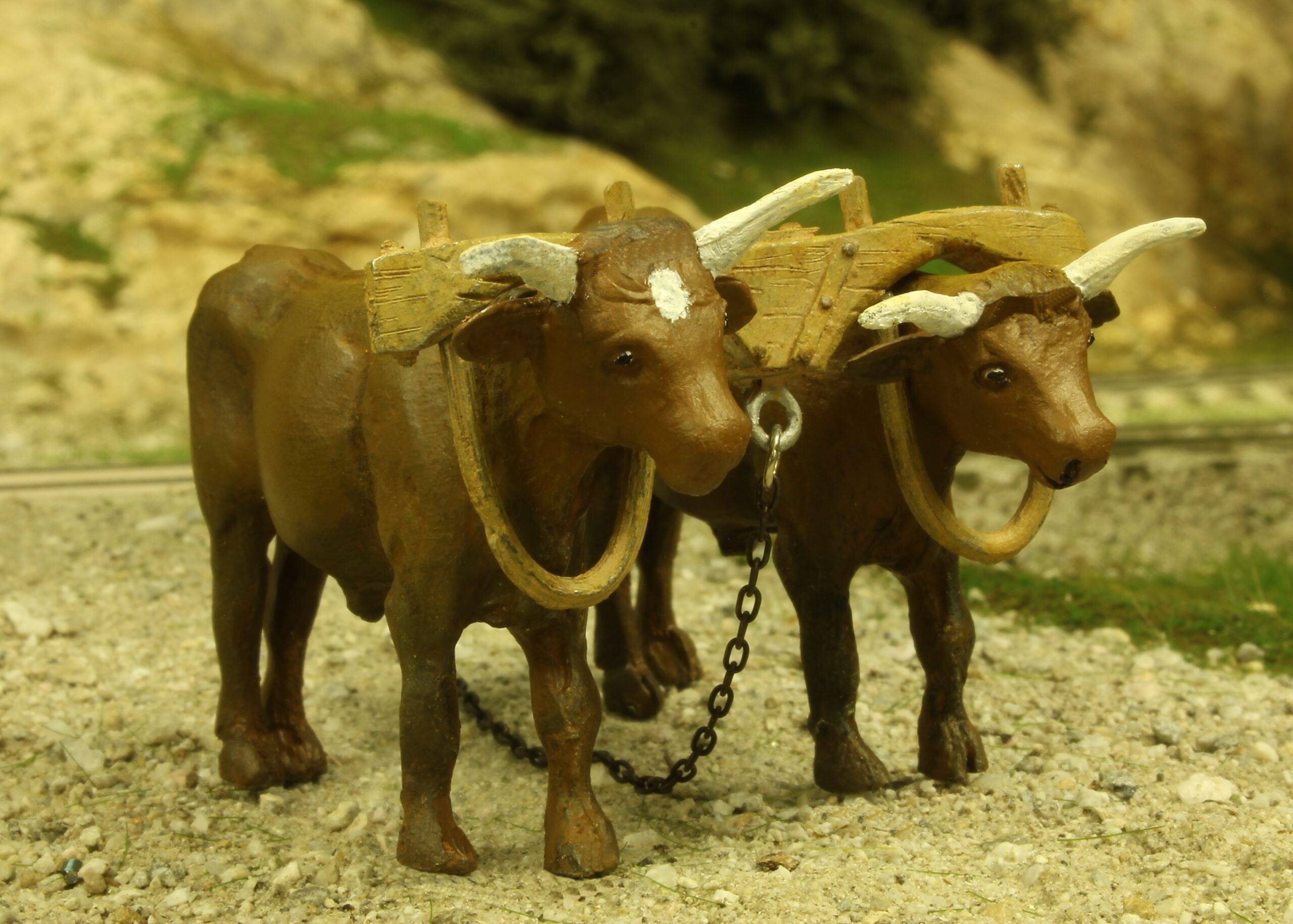 #291 Oxen,  Jim & Sam - O Scale